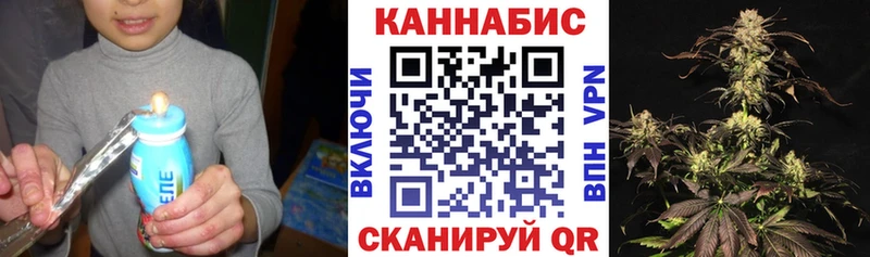 Бошки марихуана тримм  Купить закладки  Кимовск 